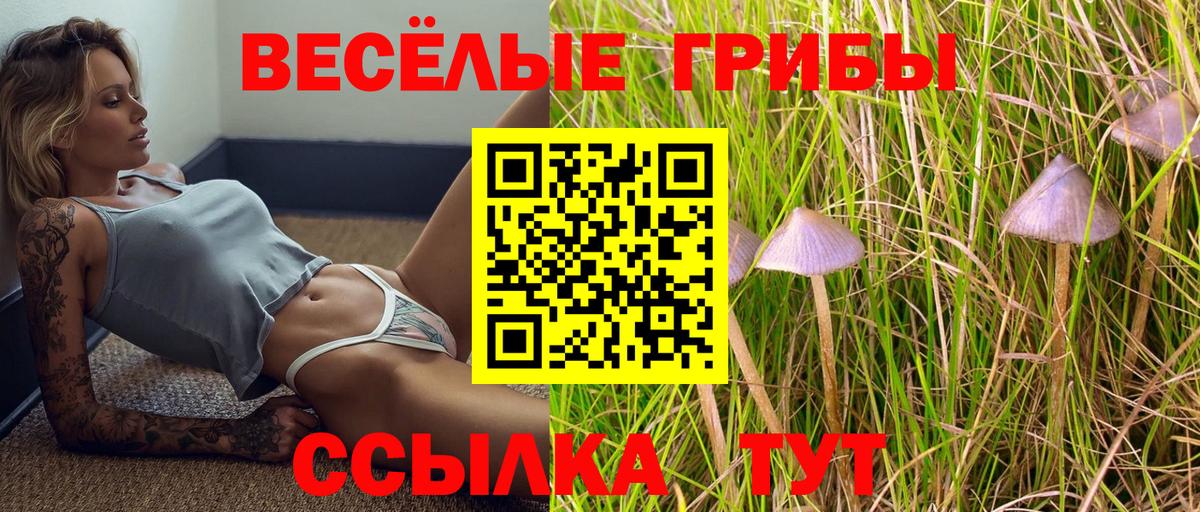 Галлюциногенные грибы MAGIC MUSHROOMS Туапсе